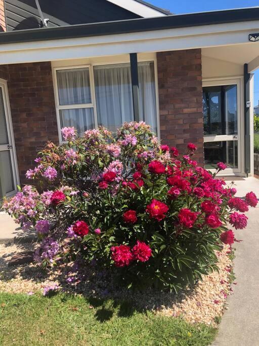 Cozy 2 Bedrooms Lavender Garden House Oamaru Eksteriør bilde